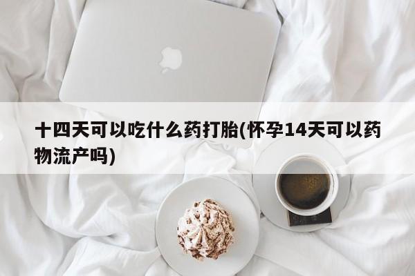 流产药在线付款十四天可以吃什么药打胎(怀孕14天可以药物流产吗)